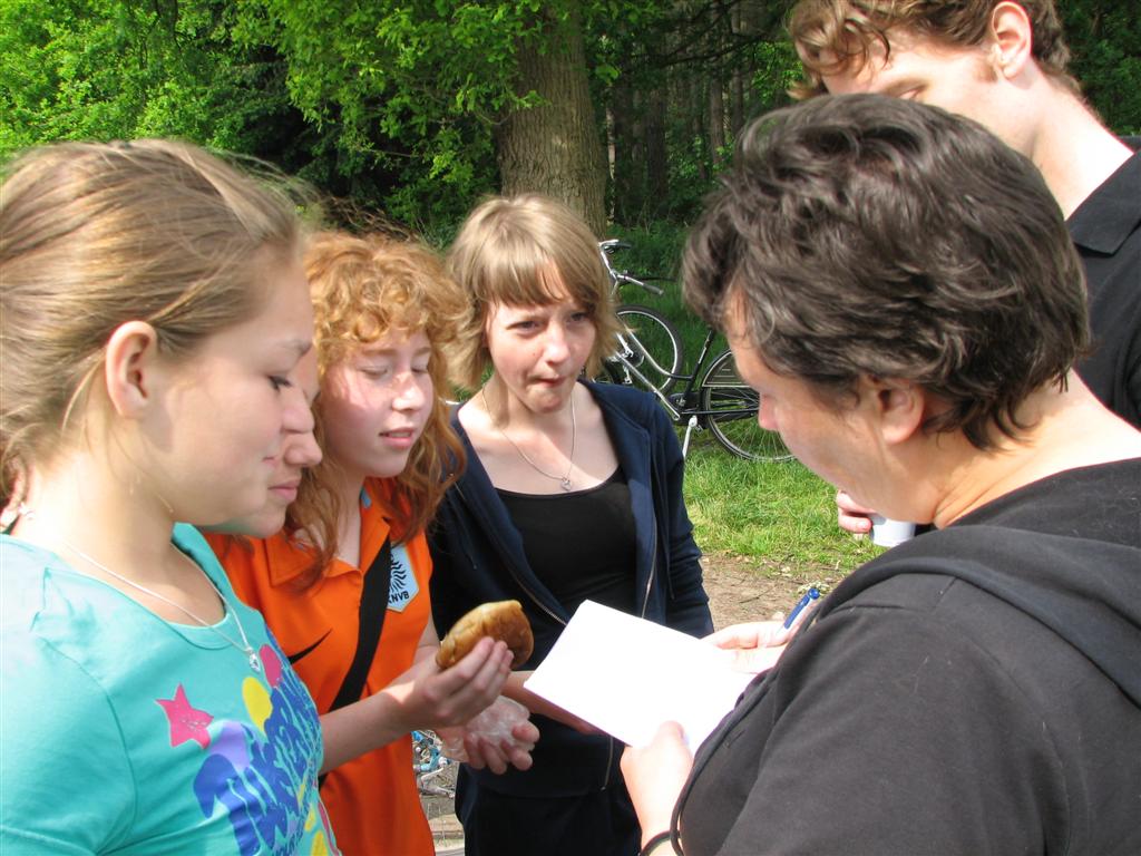 IMG_5986 (Large).jpg